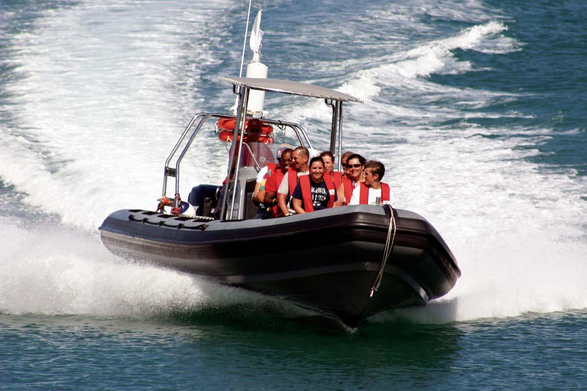 Powerboat and Sculpture Park Snorkelling