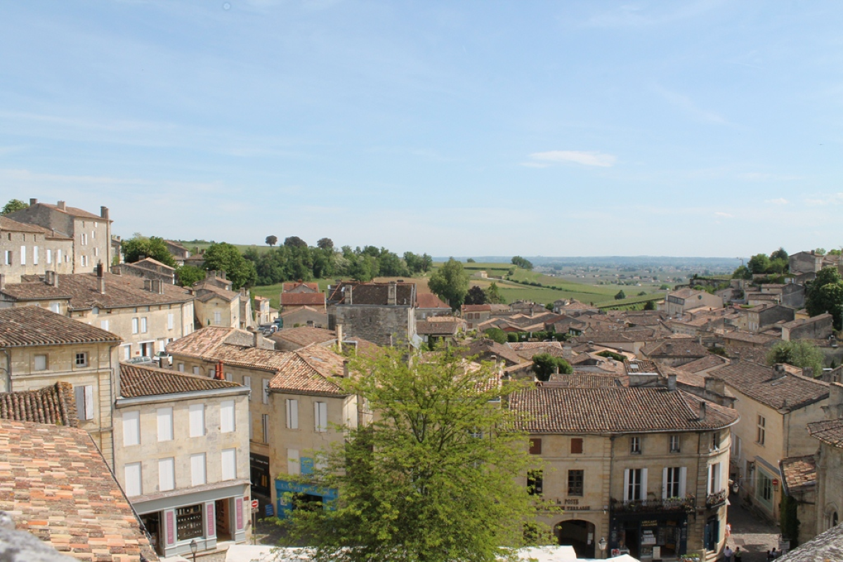 Village of St Emilion & Chateaux Visit