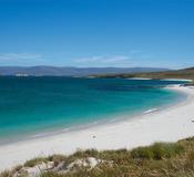 Carcass Islands, Falklands