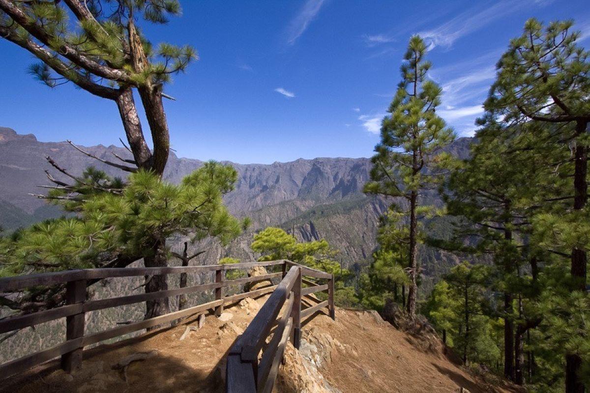 Silk Museum & National Park of Caldera de Taburiente