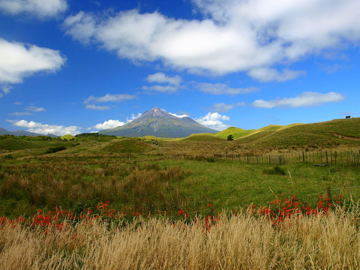 New Plymouth