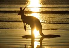 Kangaroo Island