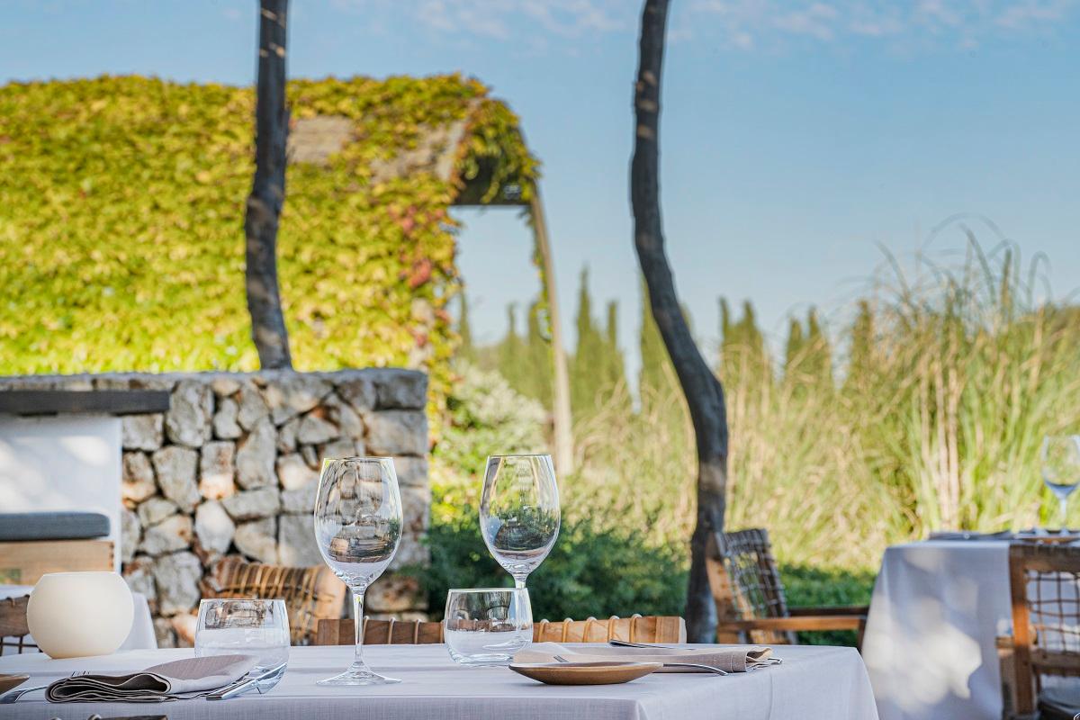 S.A.L.T. Pioneer Winery & Chef Gerard Espinoza in an Idyllic Mediterranean Landscape