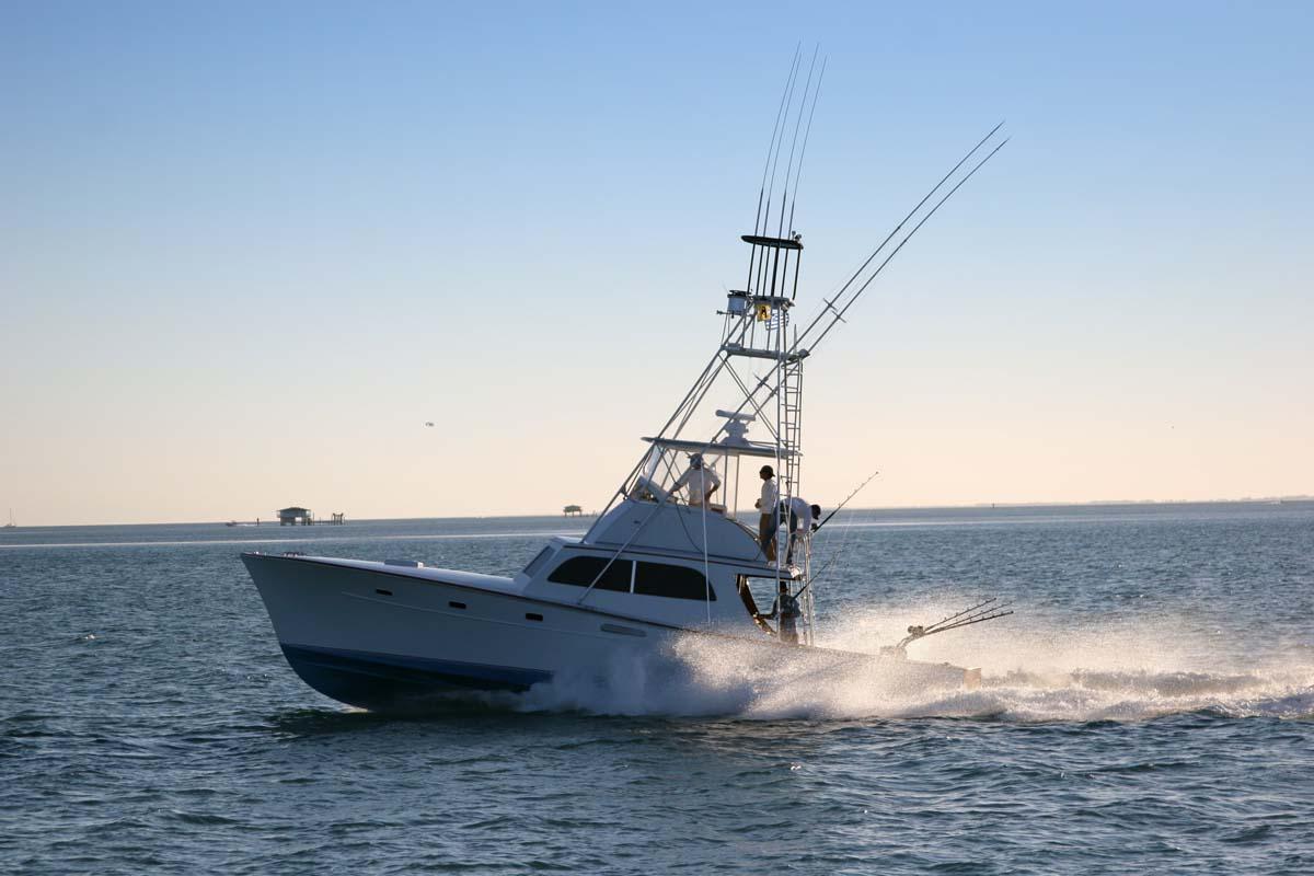 Nevis Deep Sea Fishing Adventure