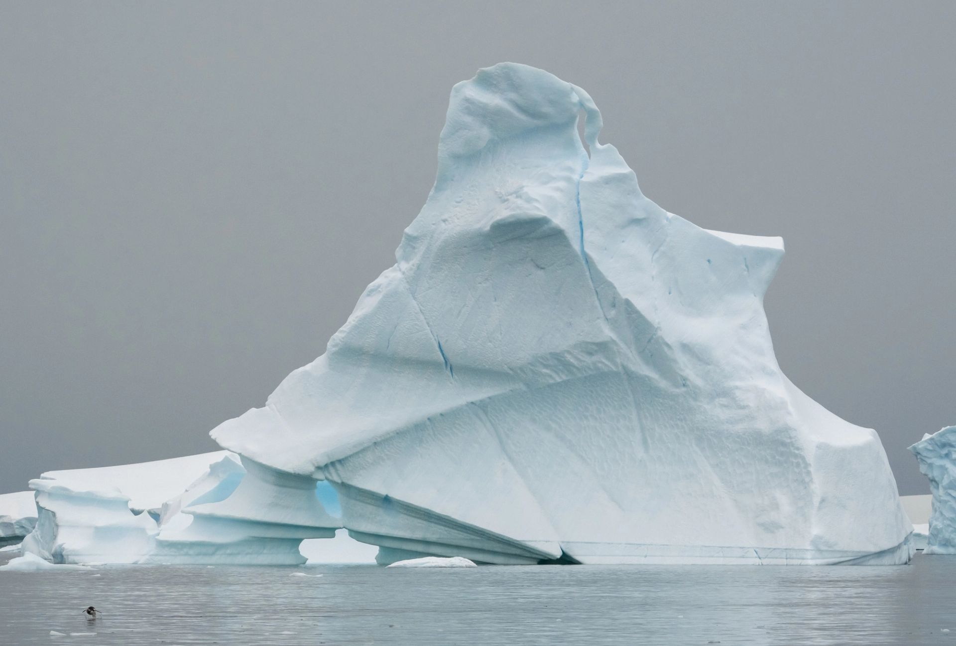 King George Island to King George Island