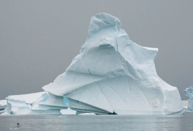King George Island to King George Island