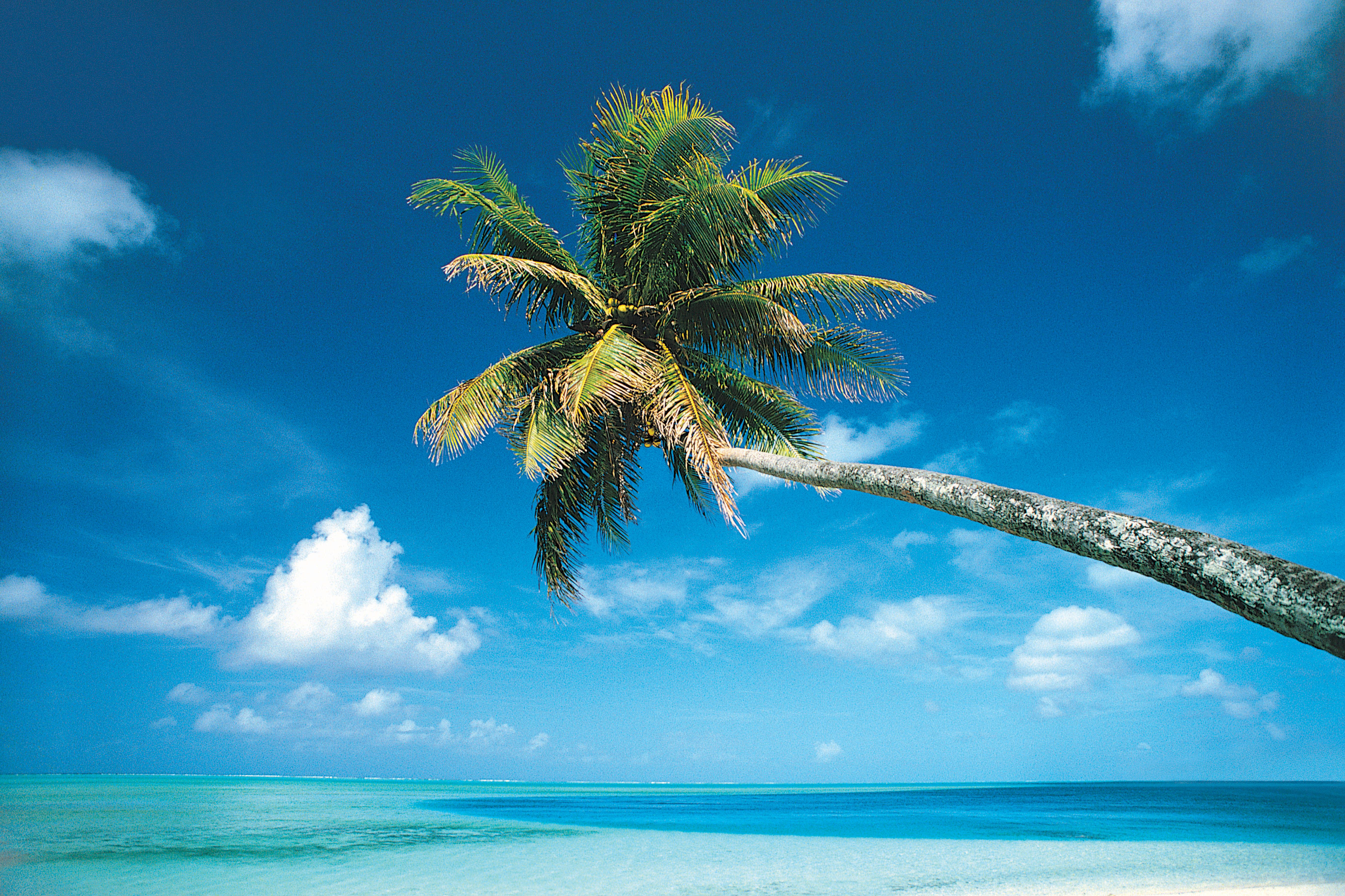 Tahiti様① Cruise from Papeete (Tahiti) to Papeete (Tahiti