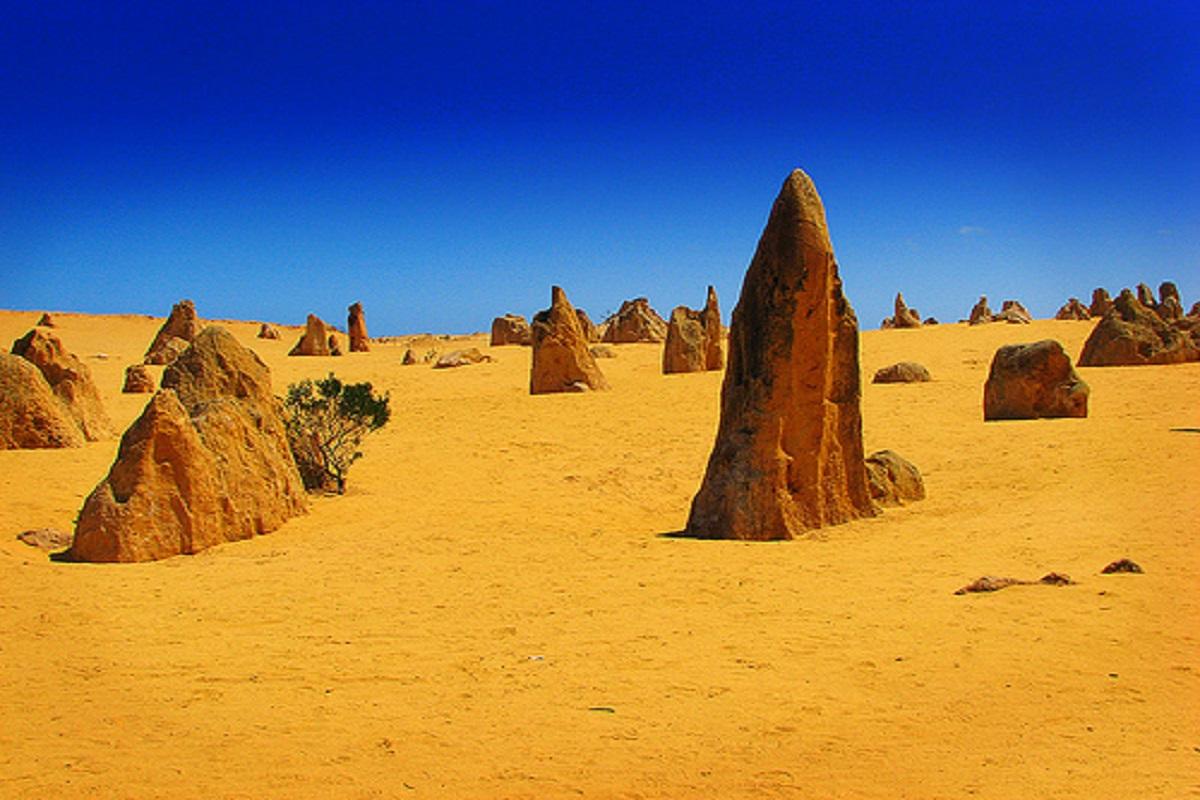 Spectacular Pinnacles & Lancelin Sand Dunes