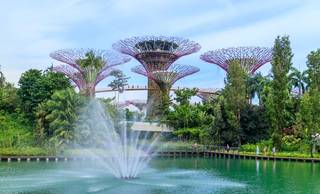 Splendors of Singapore