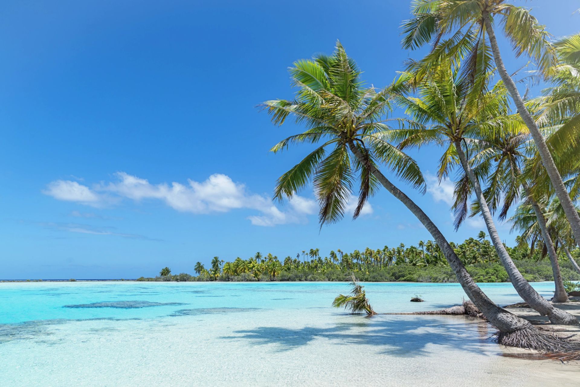 Papeete (Tahiti) à Papeete (Tahiti)