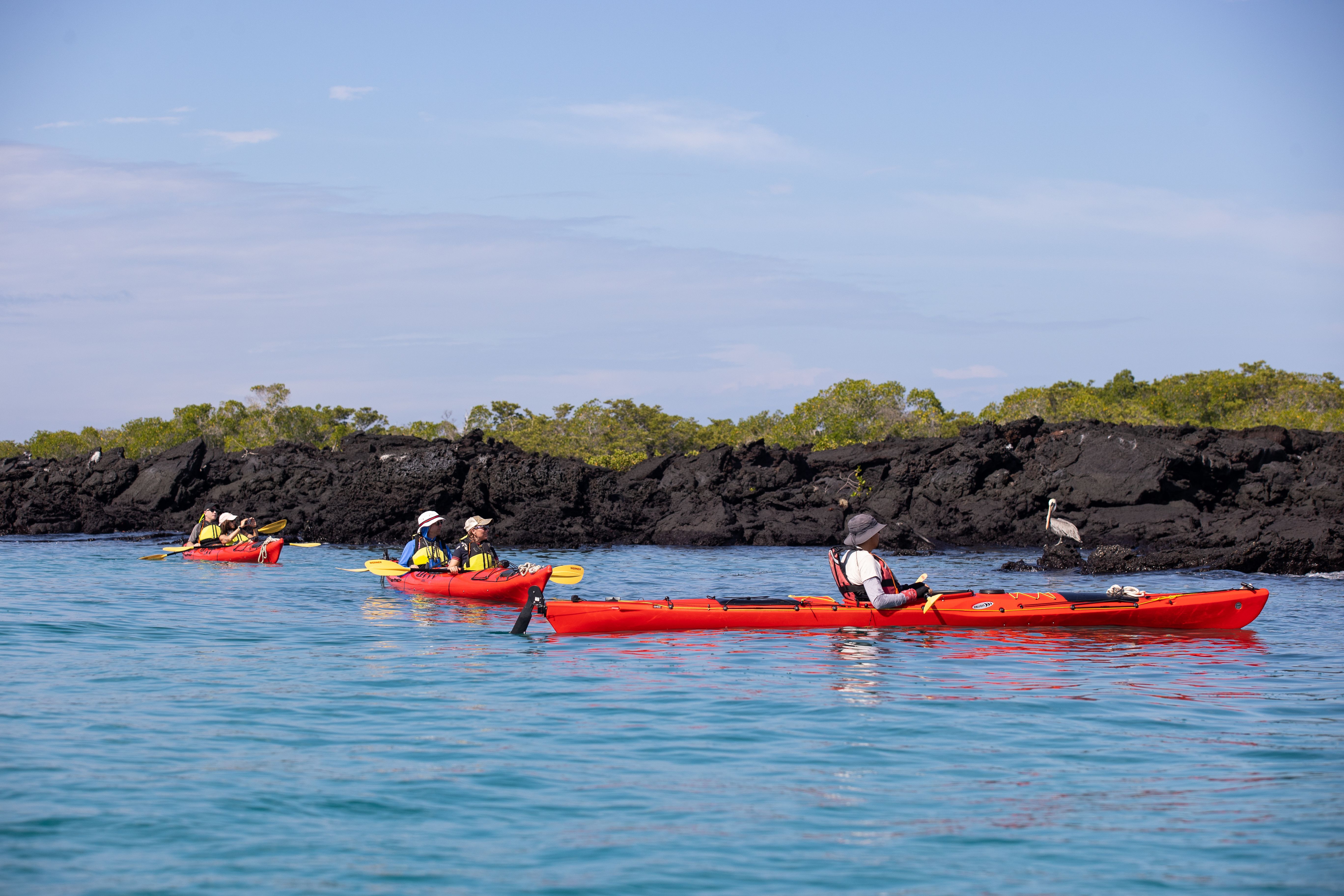 Expedition Cruises | Silversea