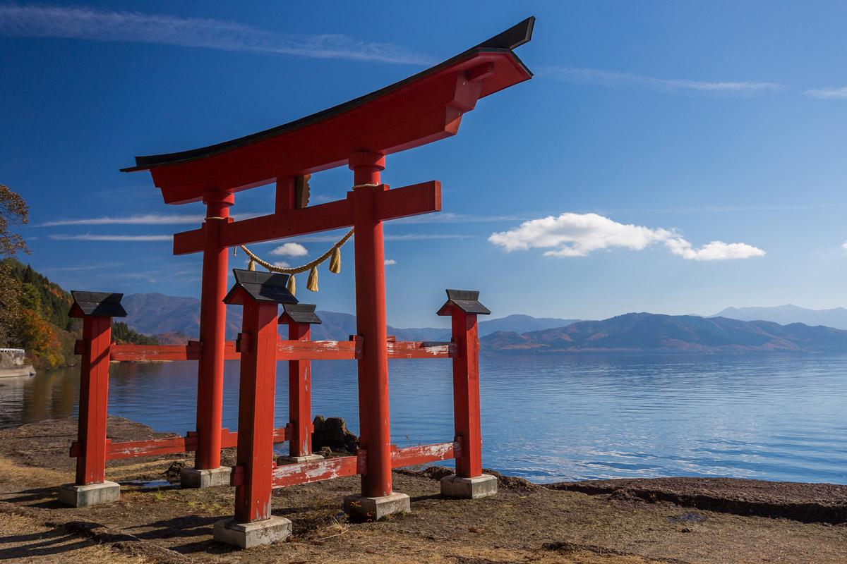 Akita