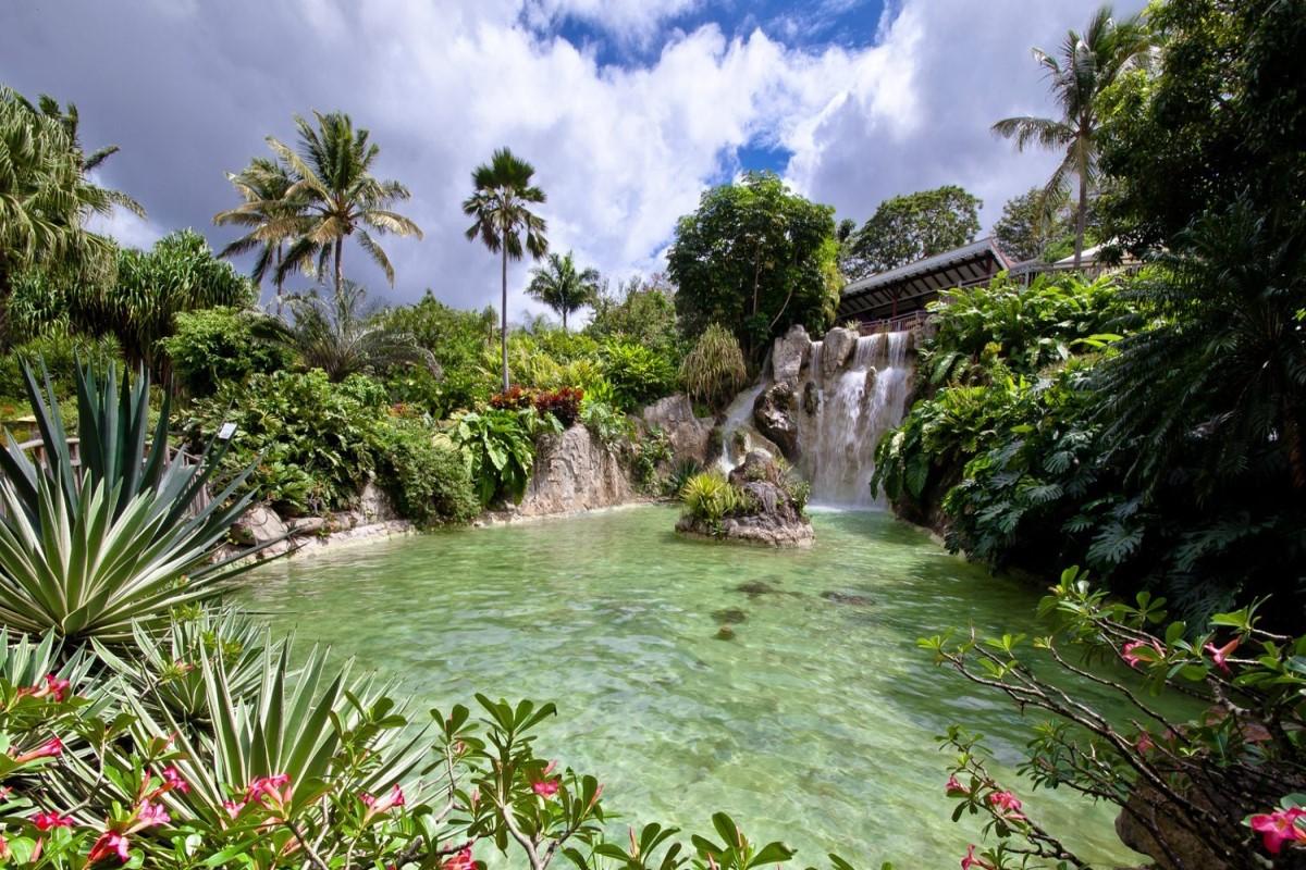 Botanical Garden Exploration