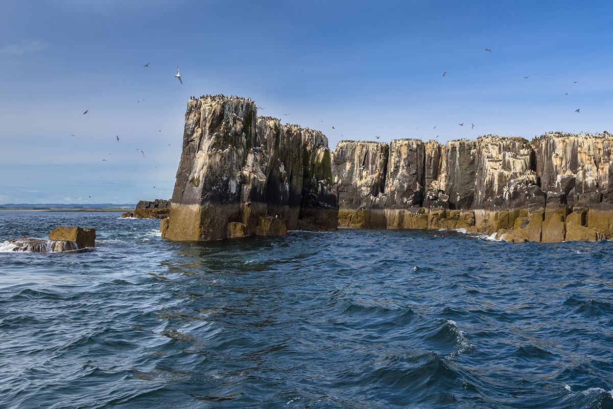 法恩群岛 / Farne Islands地点图片