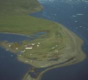 Herschel Island (Yukon Territory)