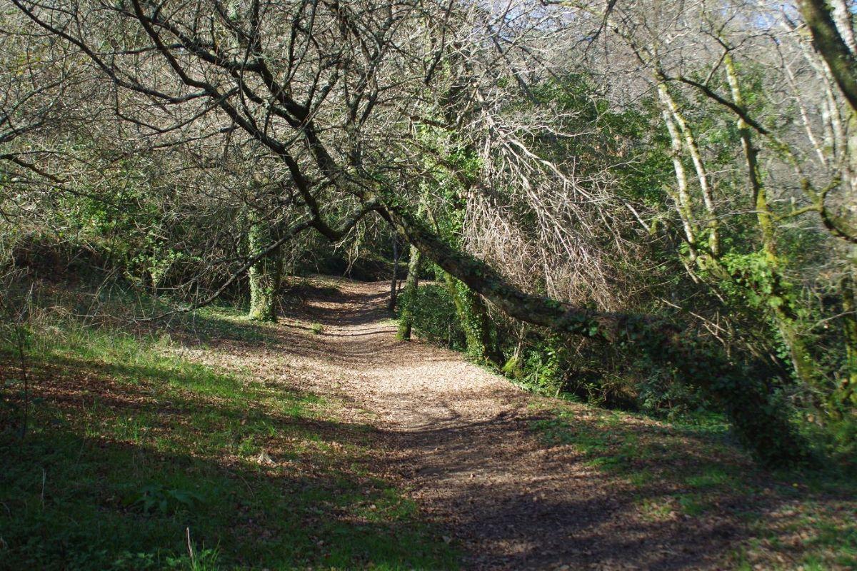 Hiking the Route of Stone and Water