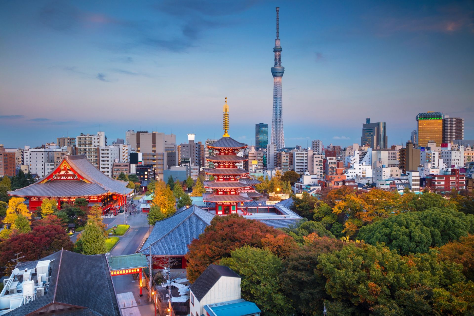 Tokyo to Tokyo