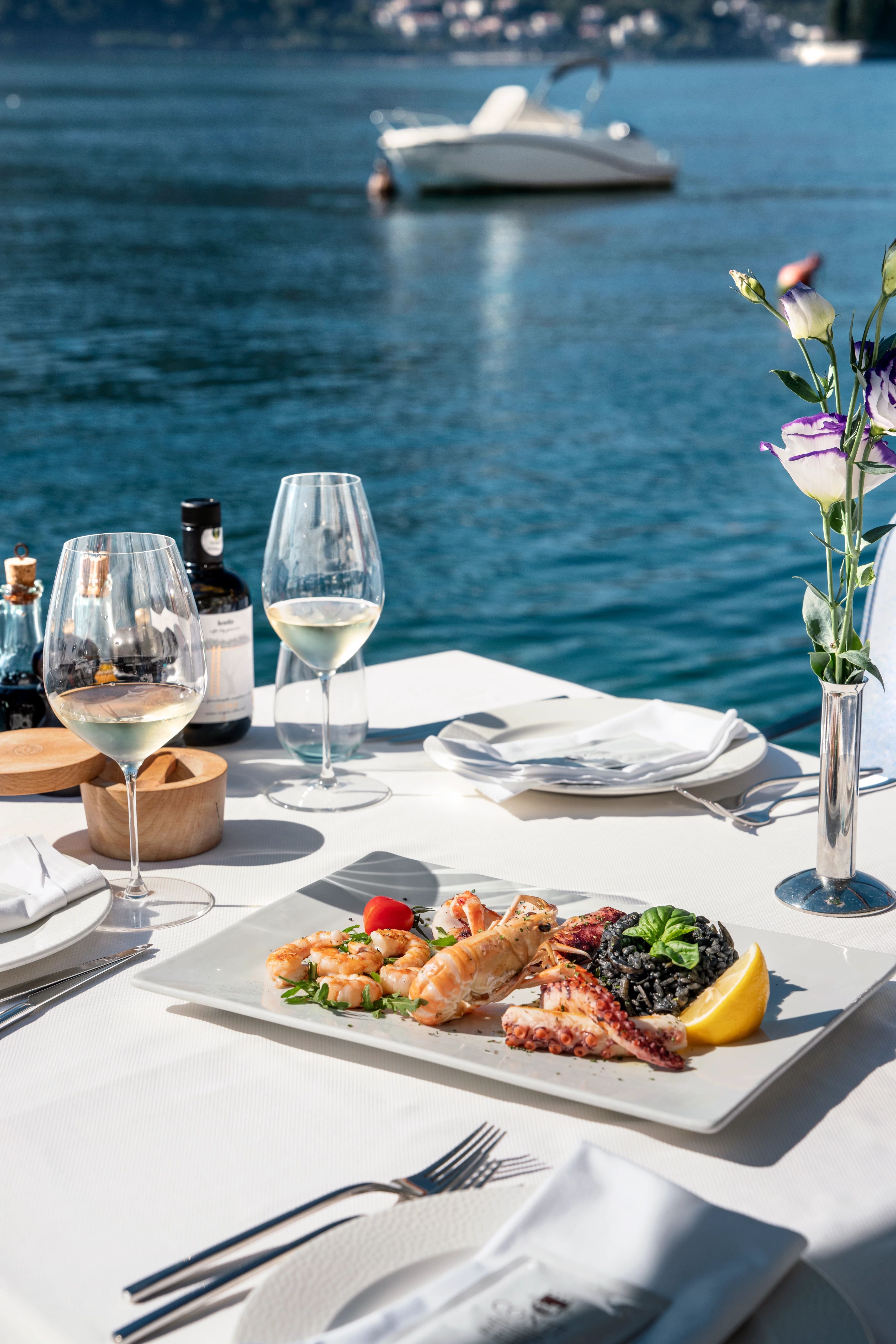  The Curious and the Sea - World Cruise 2026 