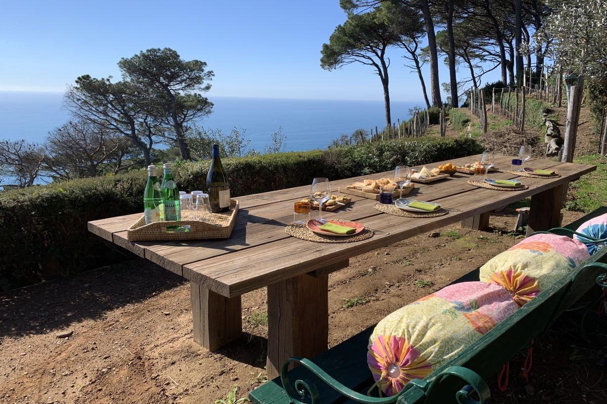 S.A.L.T. Unforgettable Picnic with a View, Wine & Focaccia at Eco Farm La Portofinese