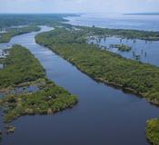 Cruise Amazon River