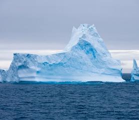 Cruise Puerto Williams Puerto Williams
