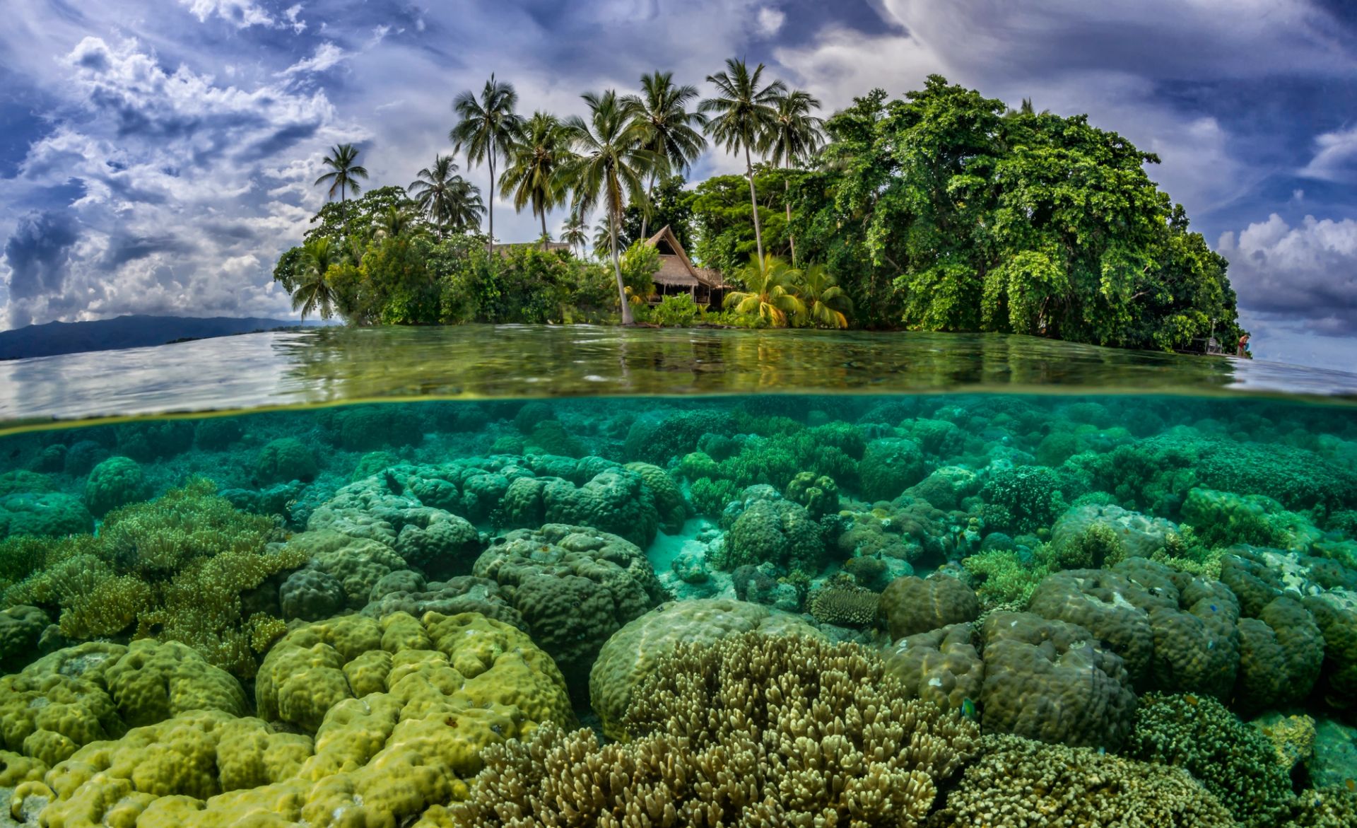 Lautoka a Kobe