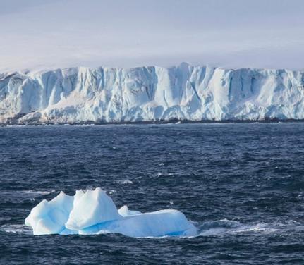 Cruise King George Island King George Island