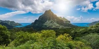 Les trésors tropicaux de Tahiti