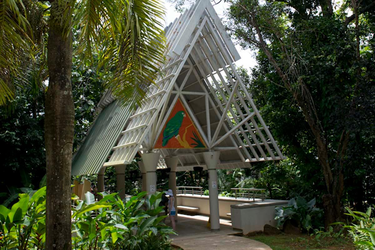 El Yunque Rainforest Walk
