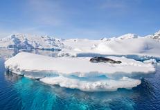 Antarctic Peninsula