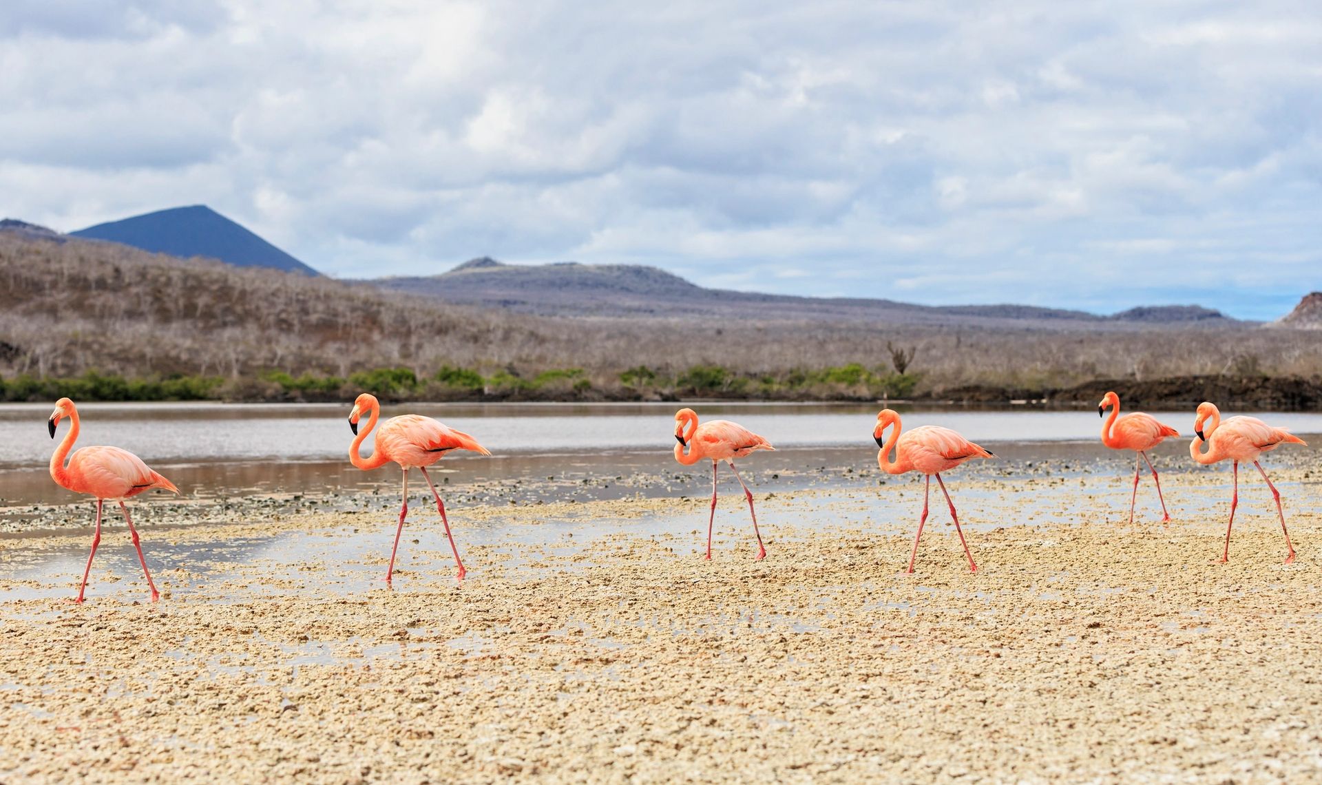 San Cristóbal, Galápagos a San Cristóbal, Galápagos