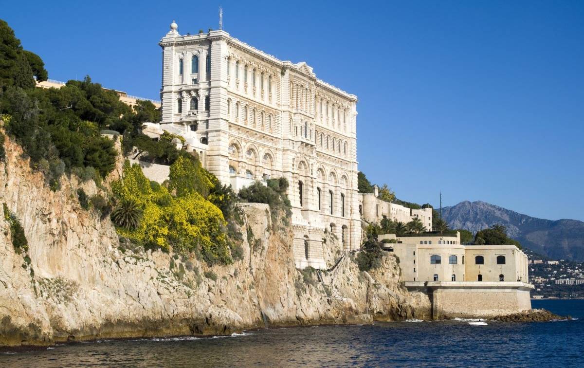 Monaco Insider