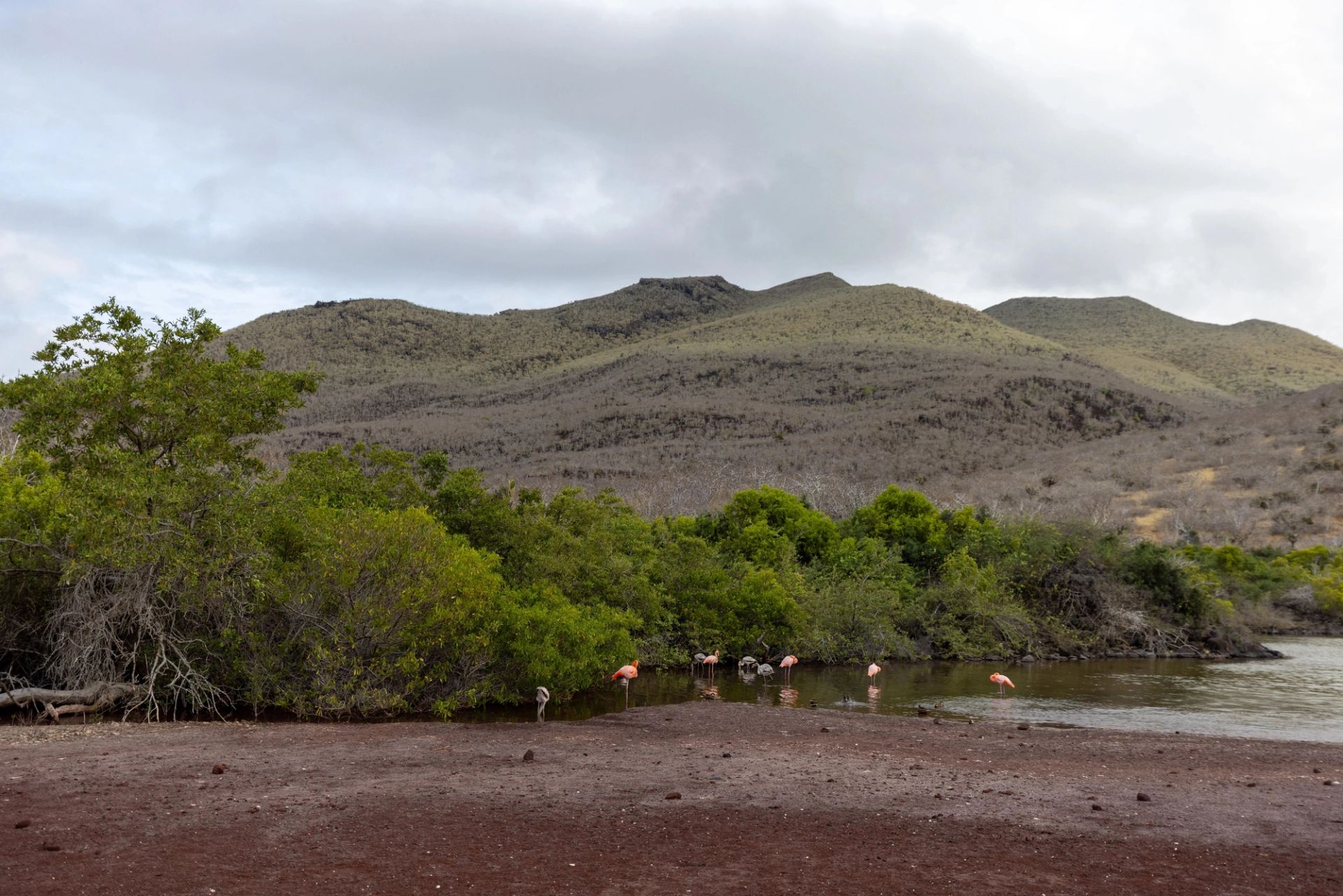 San Cristóbal, Galapagos to San Cristóbal, Galapagos