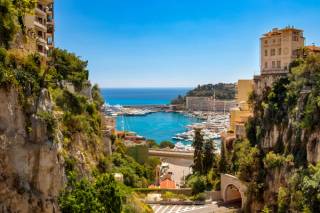 Shore Excursions