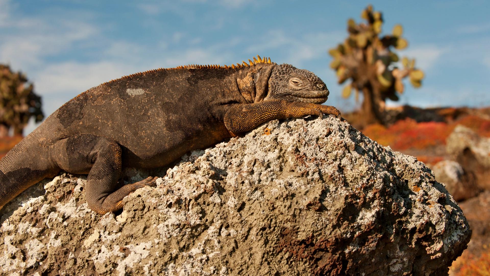 Be part of a hidden world