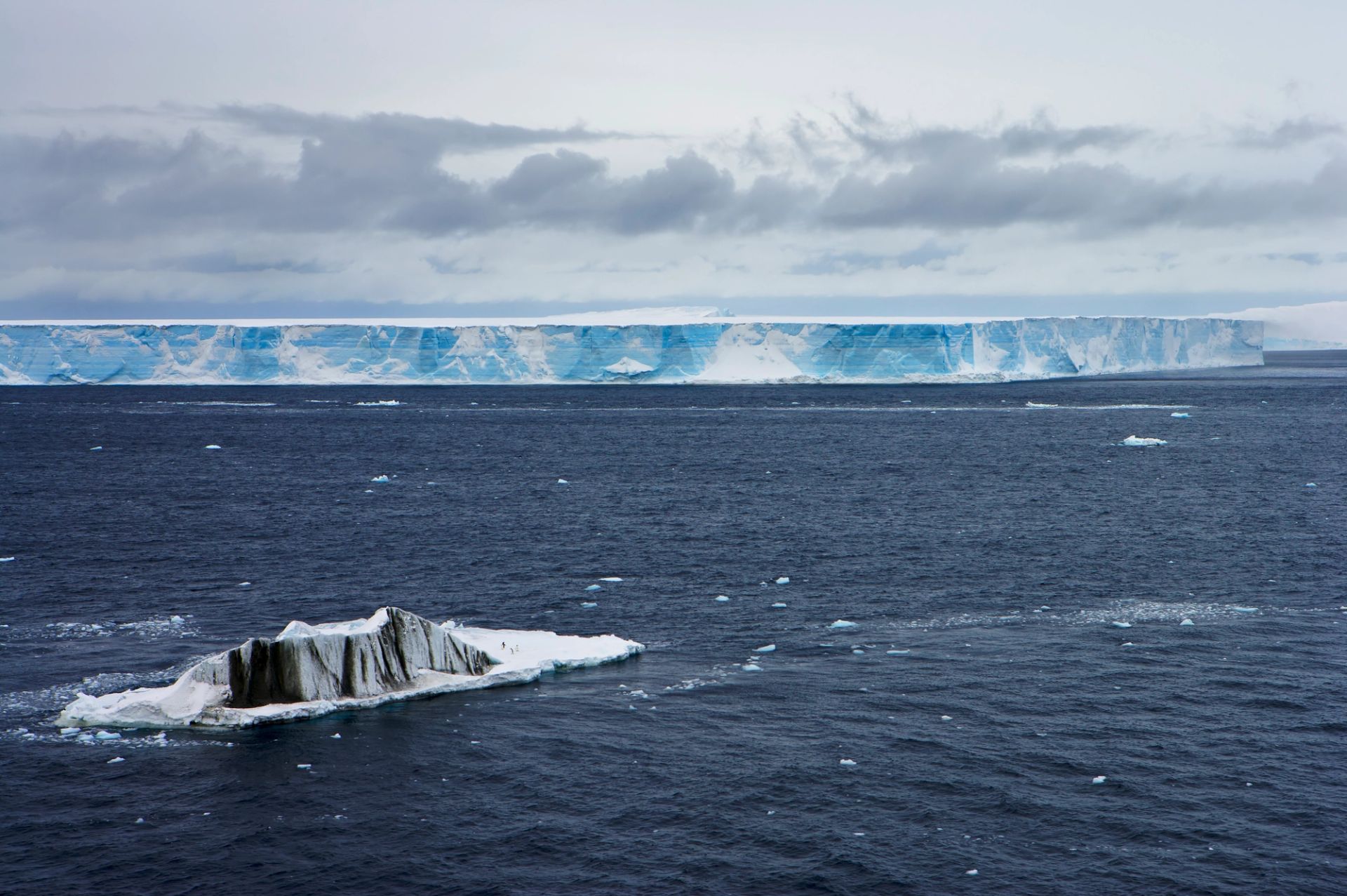 King George Island to King George Island