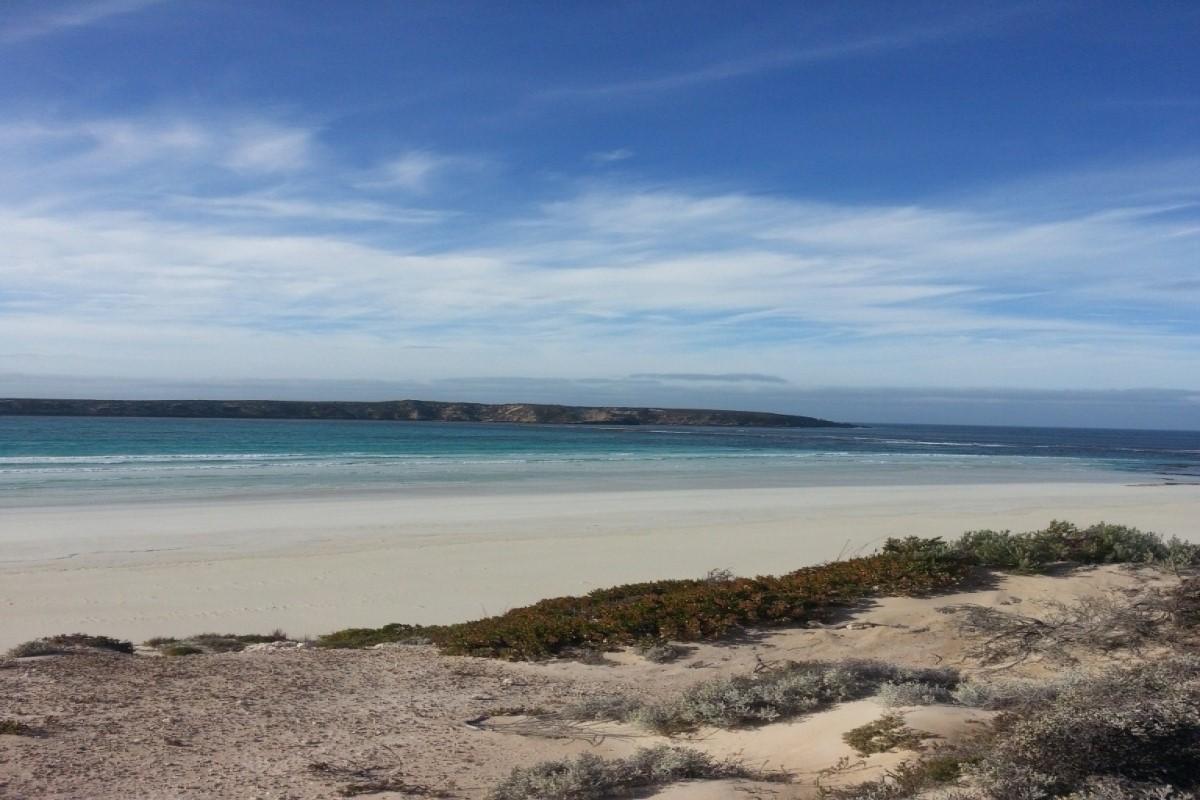 Coffin Bay National Park & Oysters