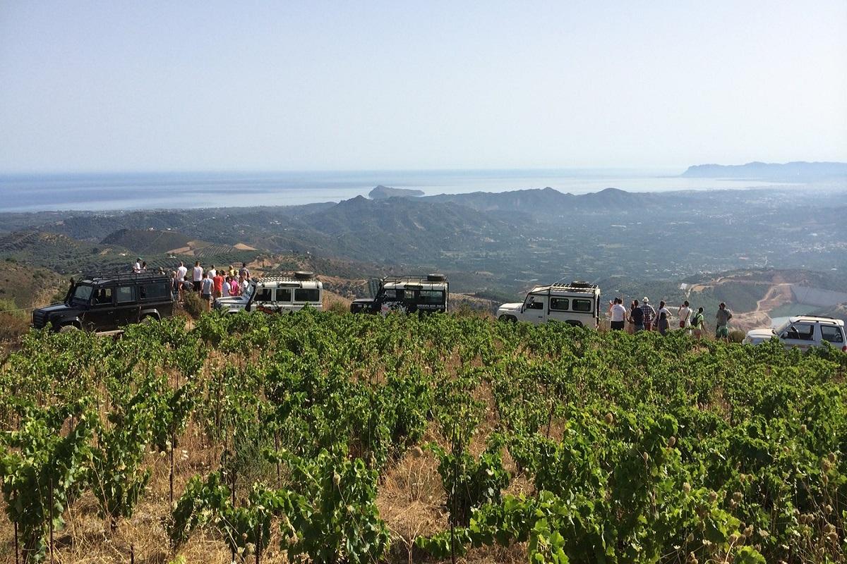 Jeep Adventure & Winery Visit