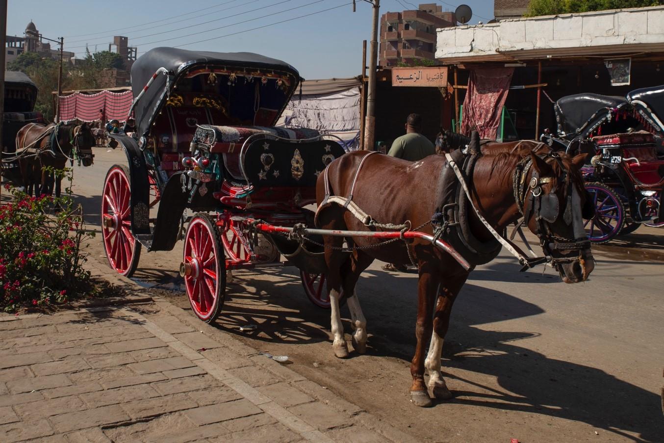 Old City Carriage Ride