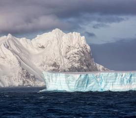 Cruise Puerto Williams Puerto Williams