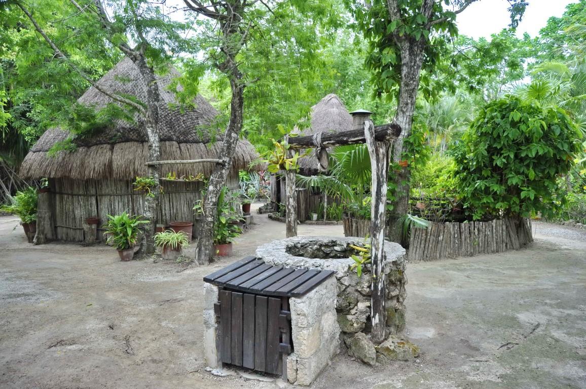 Wheelchair Accessible: Mayan Experience & Scenic Drive