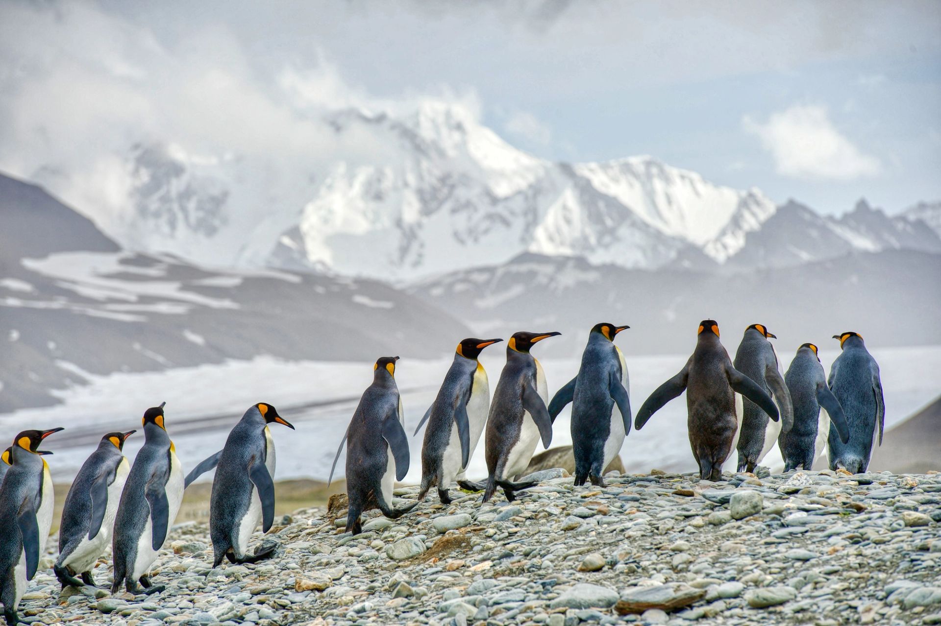 King George Island to King George Island
