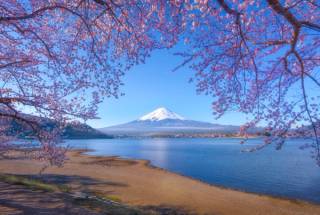 Mt. Fuji & Lake Kawaguchi