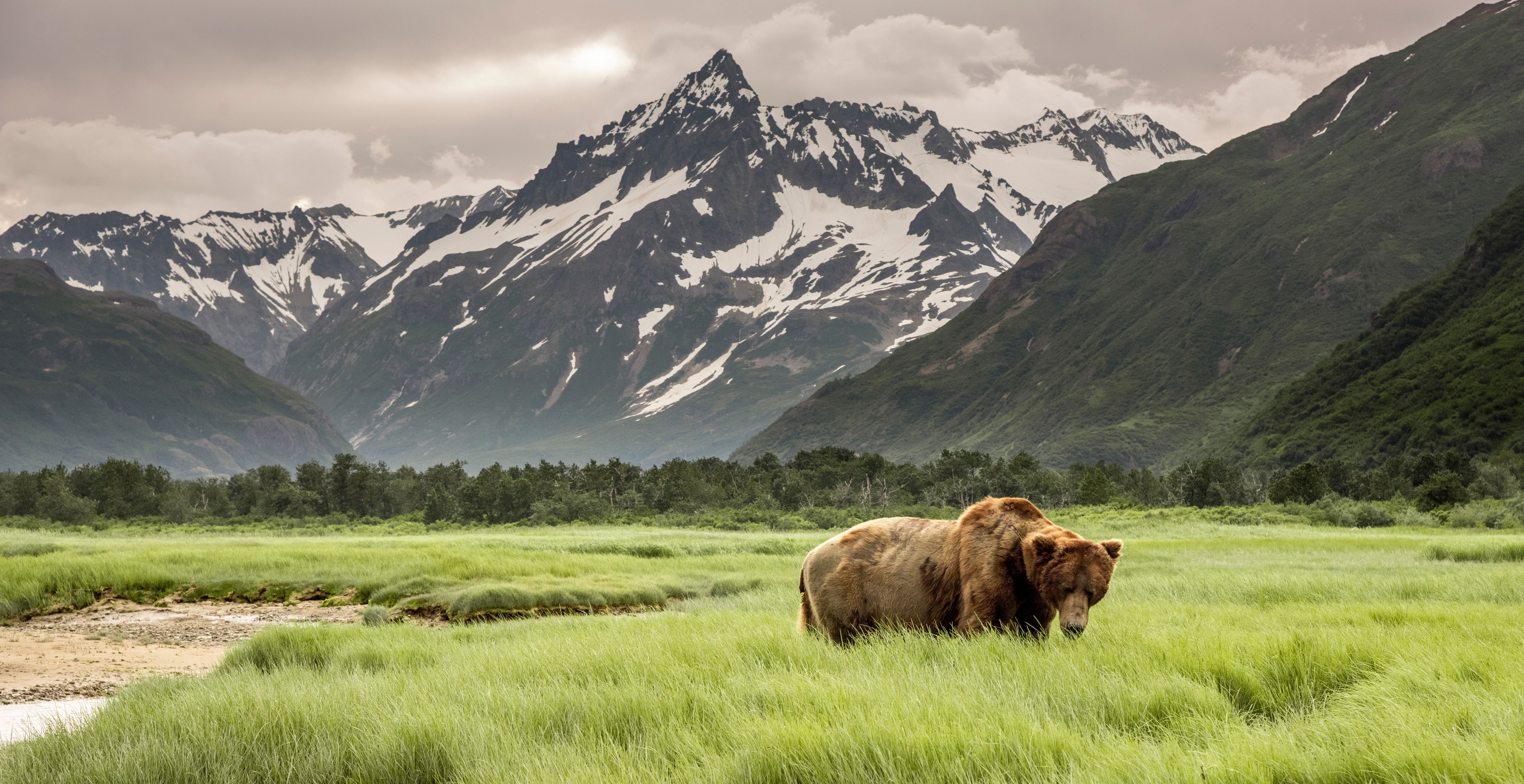 Alaska Luxury Cruises Silversea   761a0ad35690adaa3cf1727d6e24f35a5d90dee7 6699x3448 