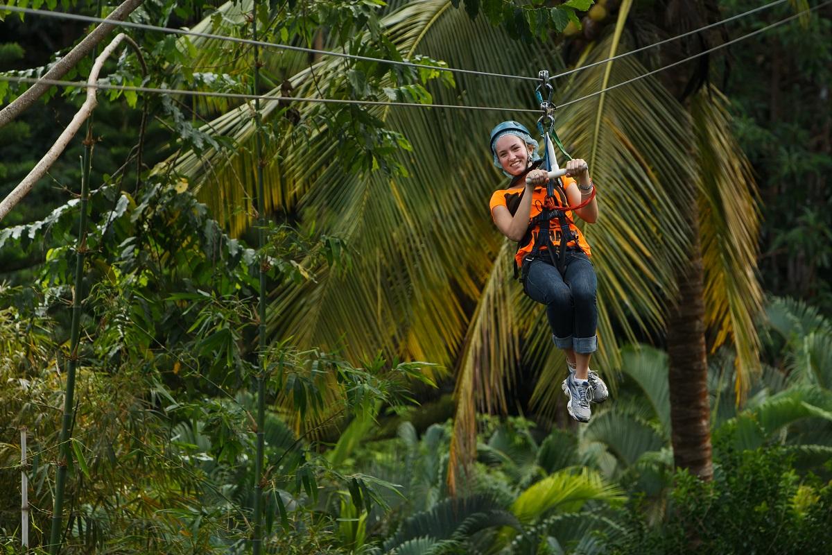 Experience the Rainforest: Aerial Tram and Zip-Line Adventure