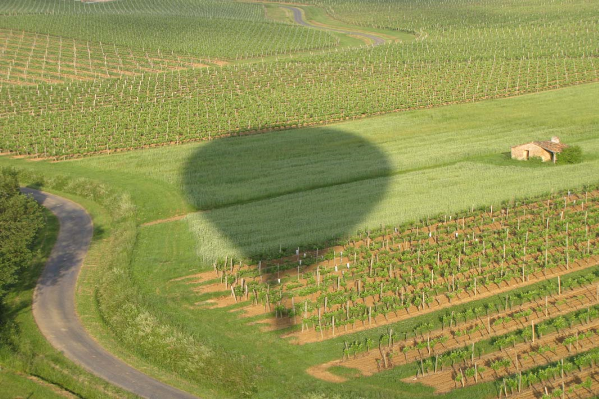 St. Emilion by Hot-Air Balloon