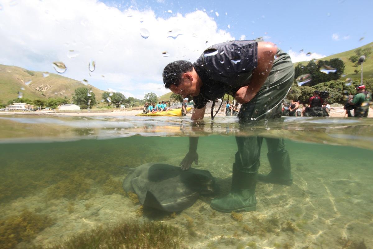 Tatapouri Reef & Stingrays