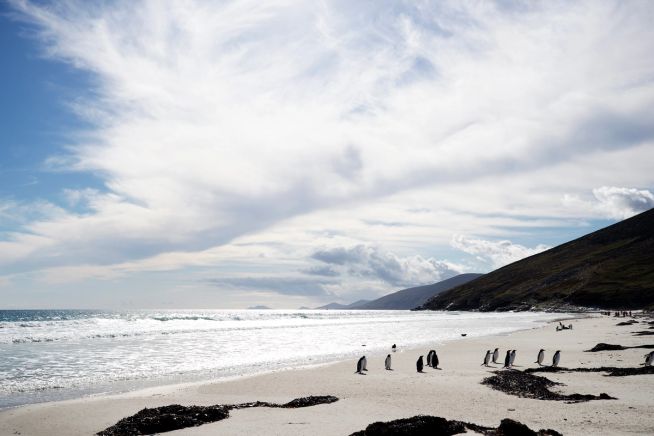 Puerto Williams a King George Island