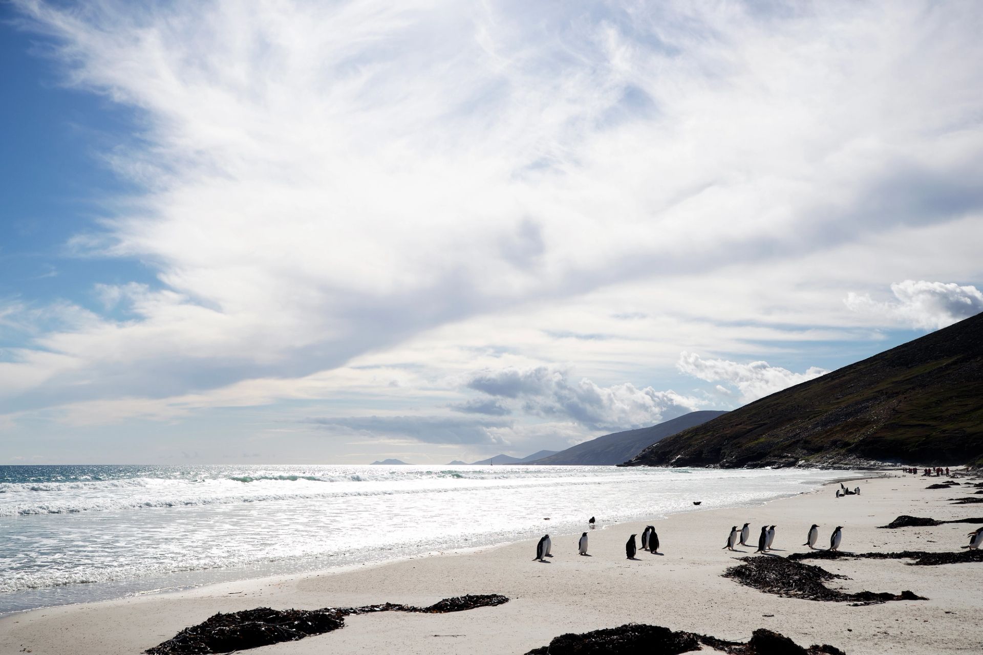 Puerto Williams to King George Island