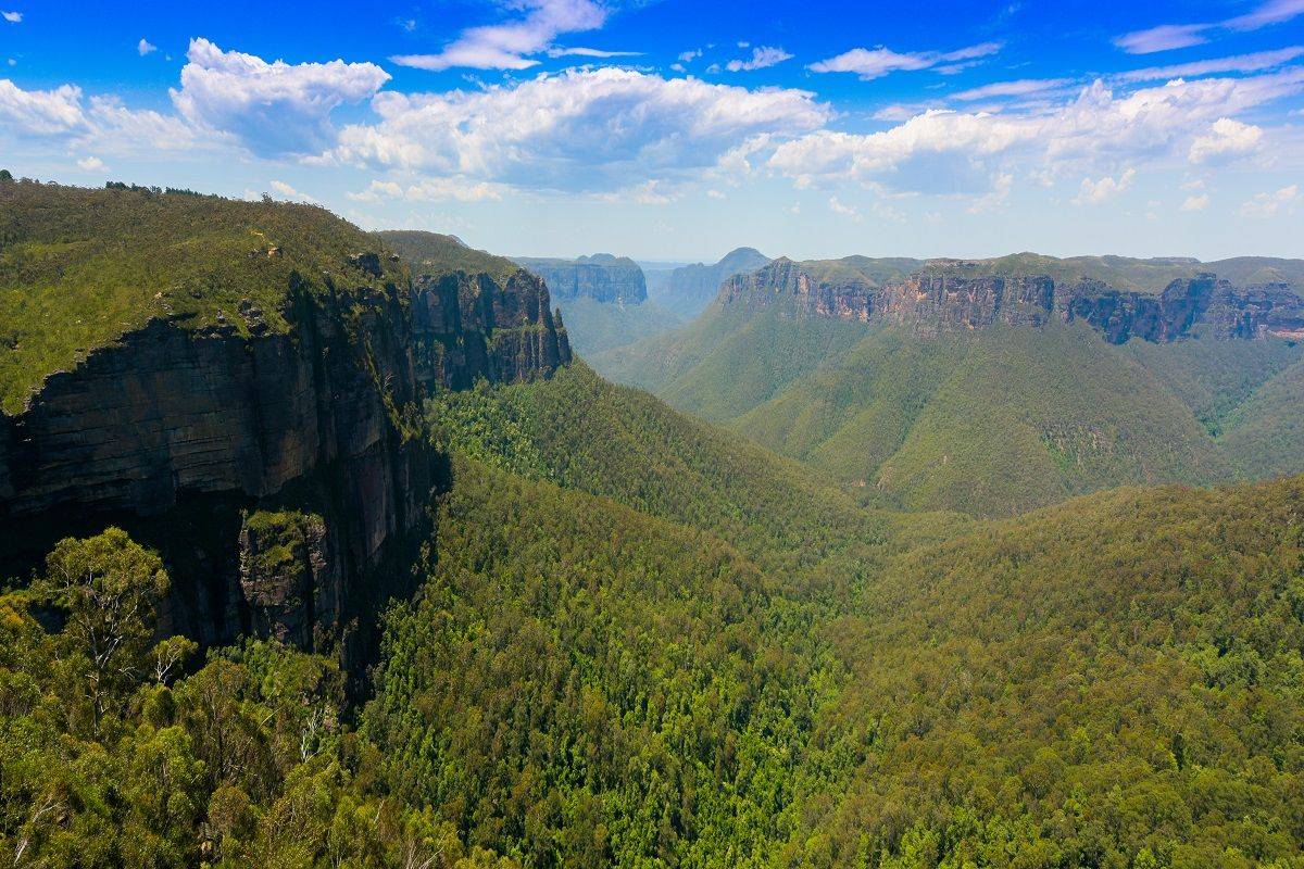 Blue Mountain Serenity